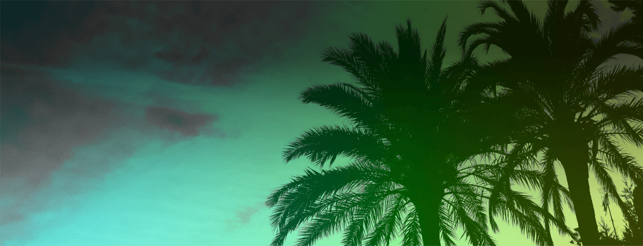 hiring background