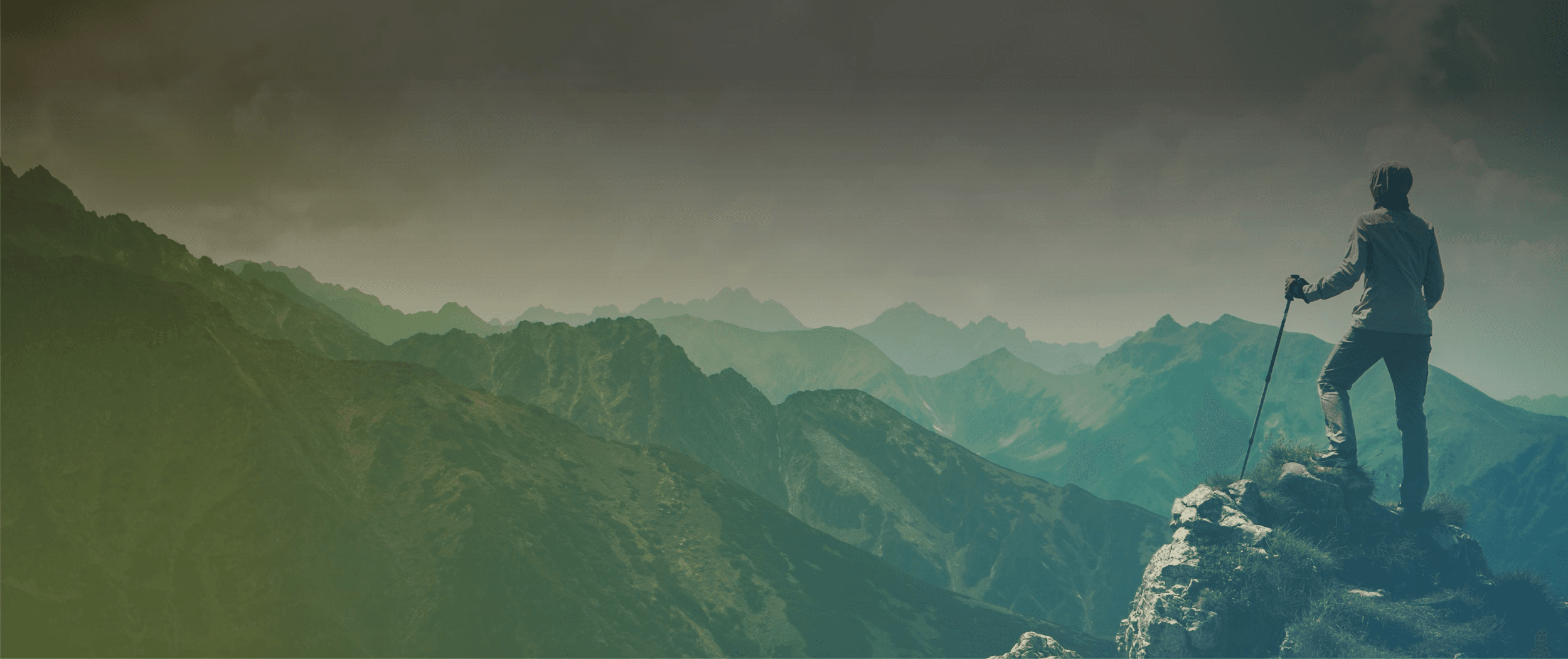PDLH Team background